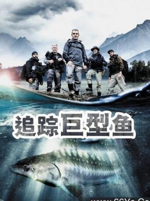 红果短剧网页免费版 逆袭短剧《重生之商海逆袭》在线观看封面